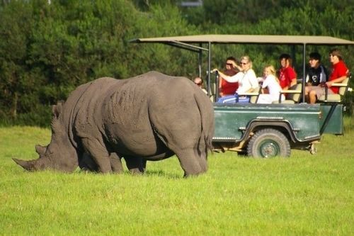 Hotel Kragga Kamma Game Park Port Elizabeth Exterior foto