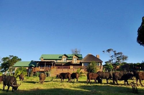 Hotel Kragga Kamma Game Park Port Elizabeth Exterior foto